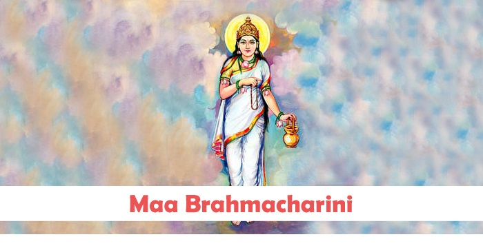 Navratri  Festival Day-2